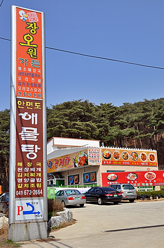 (맛집)안면도해물탕