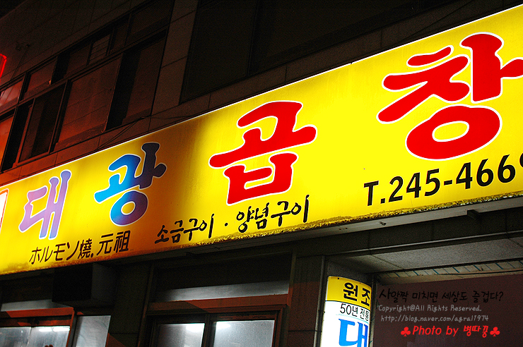 [부산맛집/자갈치] 대광양곱창
