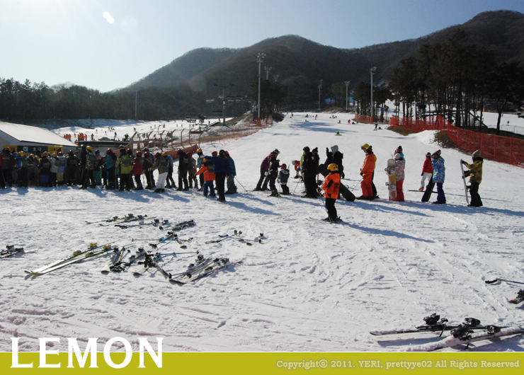 [스키장] 지산 포레스트 리조트 - ②