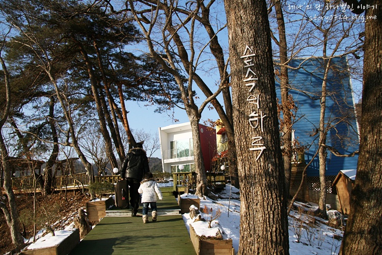 강원도횡성펜션 숲속의 하루 눈썰매타기