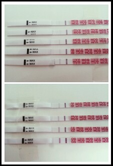 원포 임테기 일주일 사용기 원포 임테기 일주일 사용기