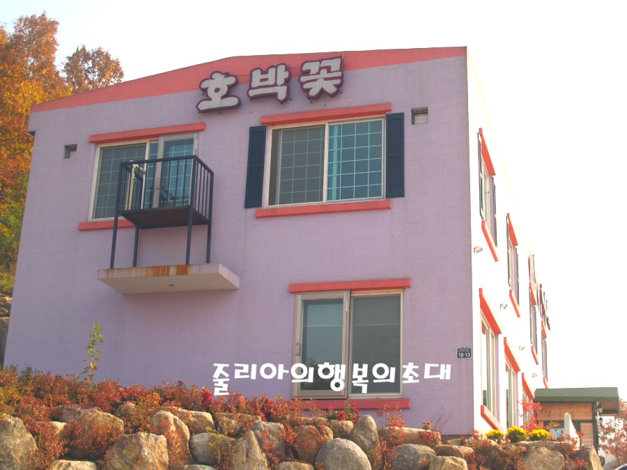 포천사유리맛집/포천정마루호박꽃/포천단호박요리맛집/포천굿모닝대한민국맛집/포천생생정보통맛집/포천맛집