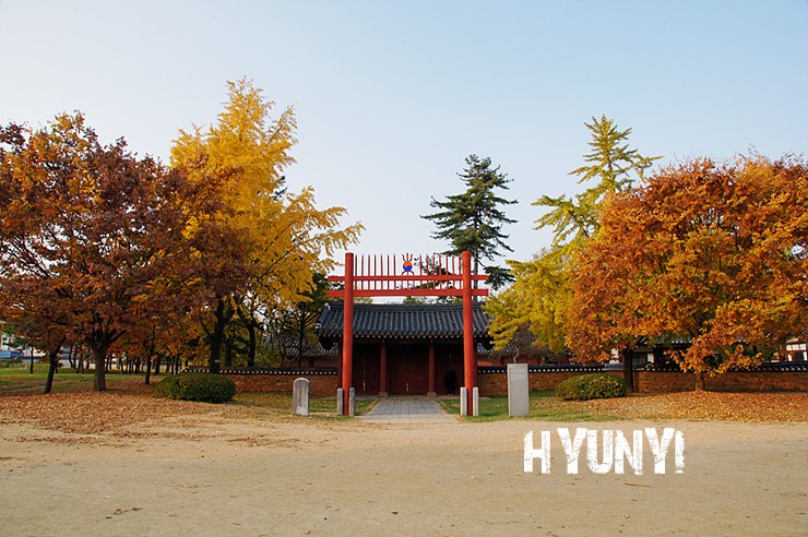 [당일치기 전주여행지 추천/전주여행1번지] 조선을 품은 경기전, 이제는 가을을 품다.... 전주한옥마을 경기전