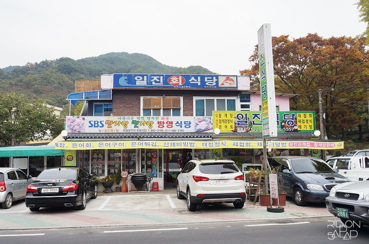 [하동맛집] 섬진강 재첩 정식 ; 일진식당 _ 화개장터맛집 재첩회+재첩국