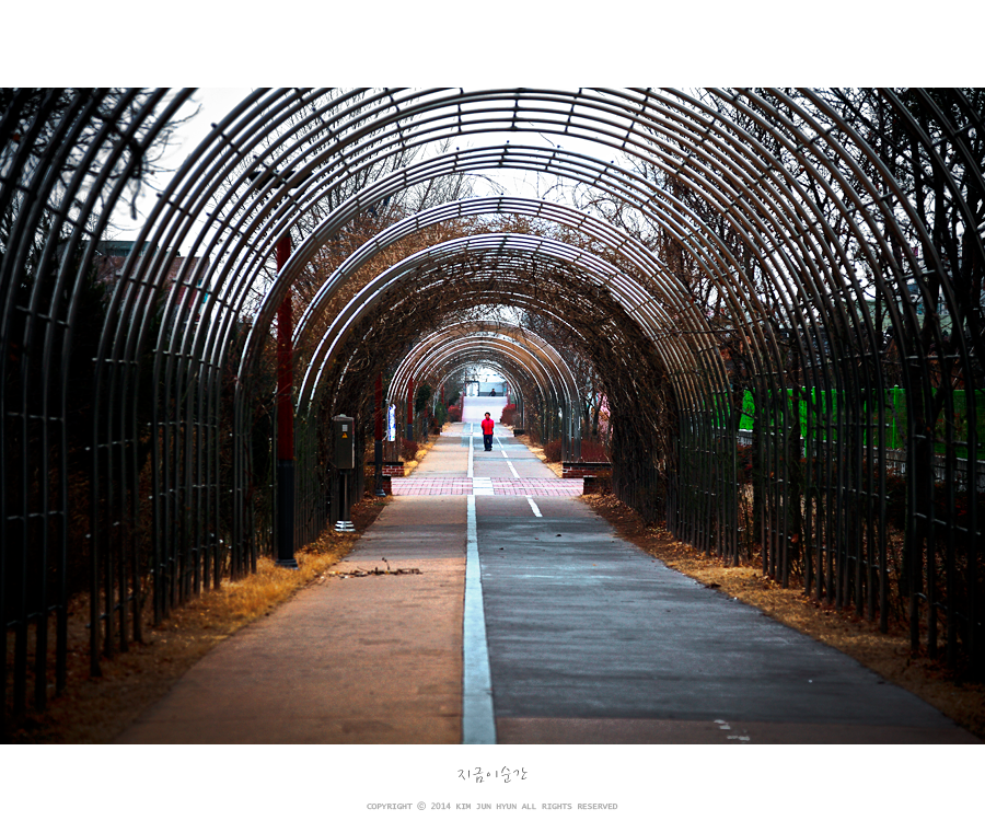 마음을 나누는 벽화마을, 옹기종기행복마을 - 대구 가볼만한곳.