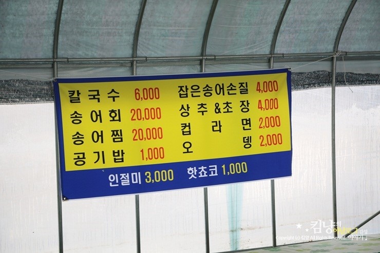 양평딸기축제 모꼬지마을에서 즐거운체험하고 왔어요