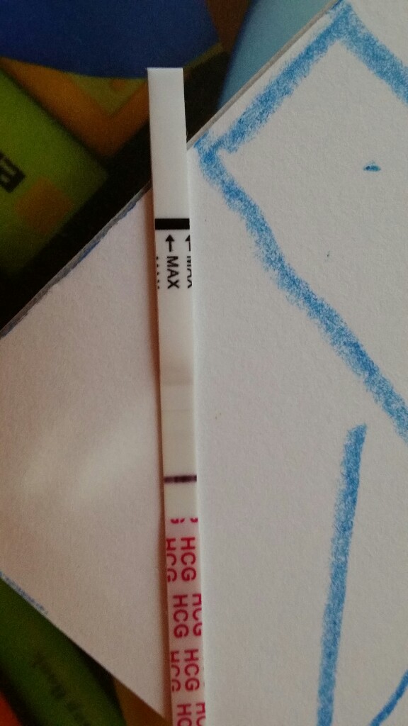 원포 시약선 원포 시약선