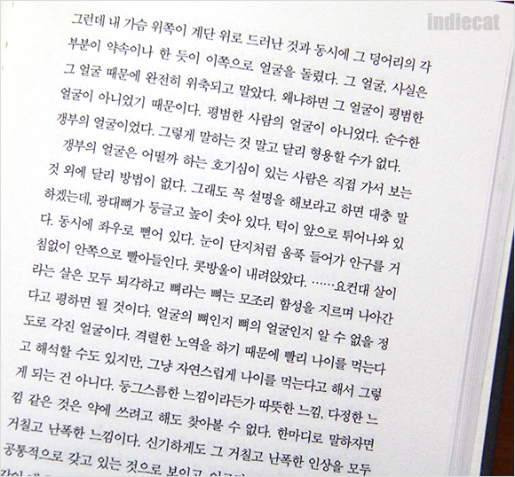 [갱부] 나쓰메 소세키 / 일본소설 / 치열하게 자의식 찾기