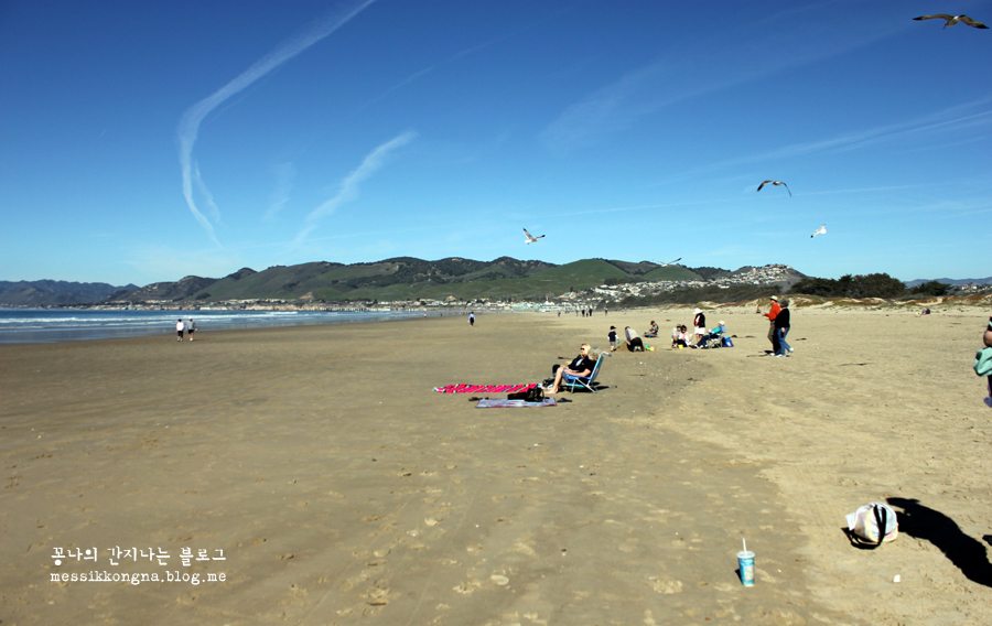 캘리포니아 LA 여행! 미국 서부 북가주 갈만한 곳 * 피스모 비치 [Pismo Beach]