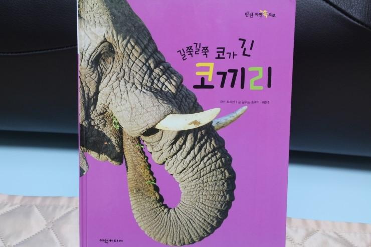 [자연관찰 탄탄 자연속으로] 길쭉길쭉 코가 긴 코끼리