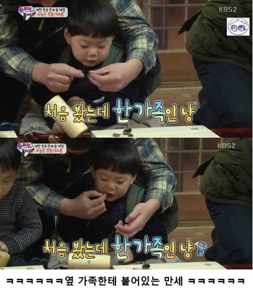 친화력갑인 만세
