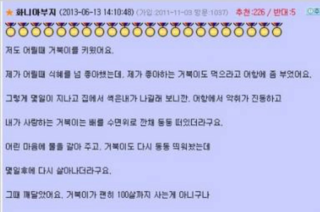 없어졌다가 30년 만에 발견된 거북이