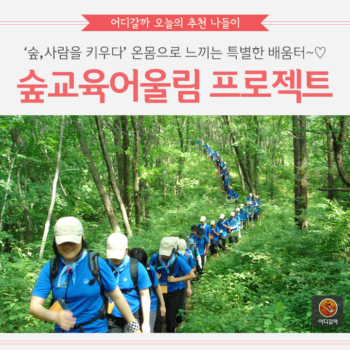 [어디갈까] 우리아이를 위한 특별한 배움터~! 숲교육어울림 프로젝트~!