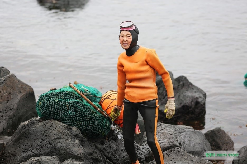 제주도 숨은 비경 : 하귀2리 해녀와 성게