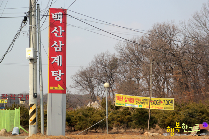 일산삼계탕,원당 맛집 삼계탕전문점 백산삼계탕(일산점)