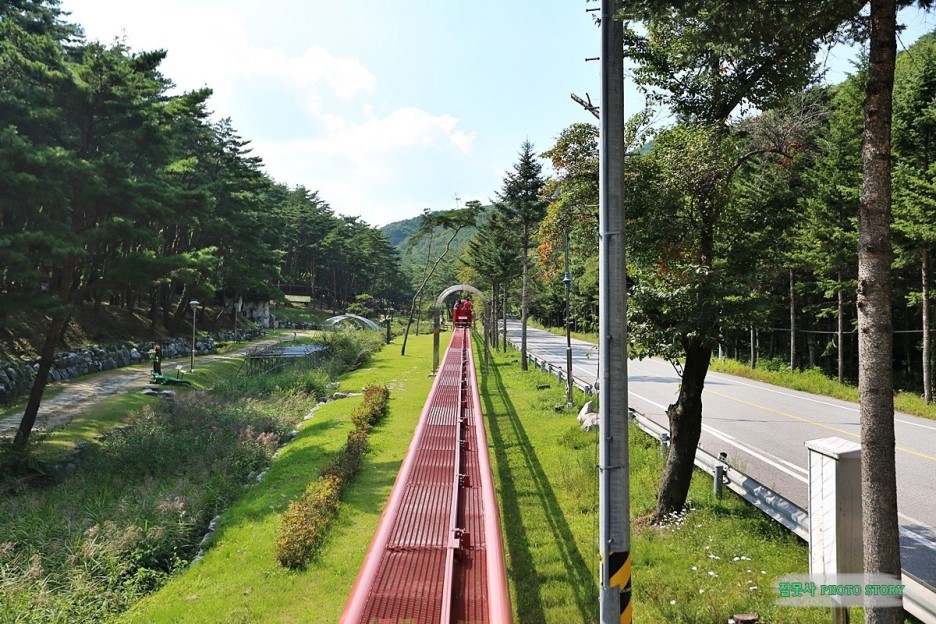 충북여행 보은 가볼만한곳 둘리공원&스카이바이크