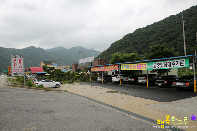 고창맛집 해주가든에서 보양식 풍천장어로 더위타파~!