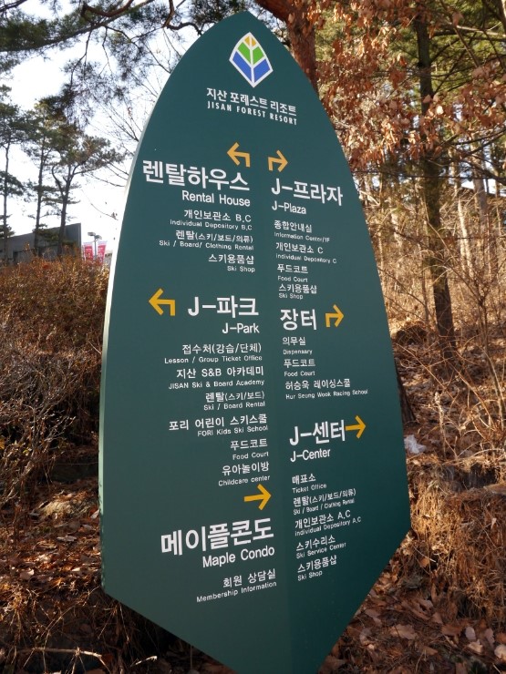 서울 근교라 편리한 지산리조트 강습과 렌탈샵@ 날아라 슈퍼보드