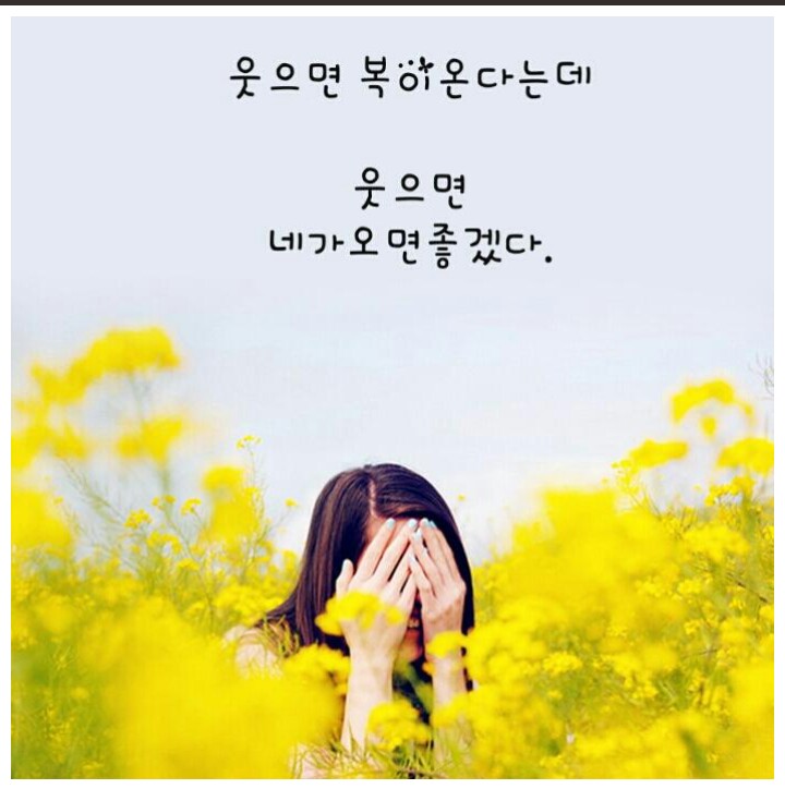 당신과 나의 봄이 사랑이었으면 좋겠습니다/이채