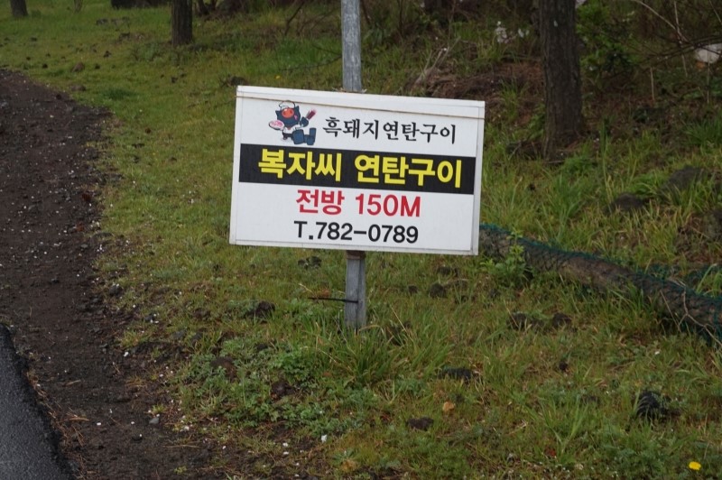 제주 함덕맛집, 제주흑돼지구이 복자씨연탄구이