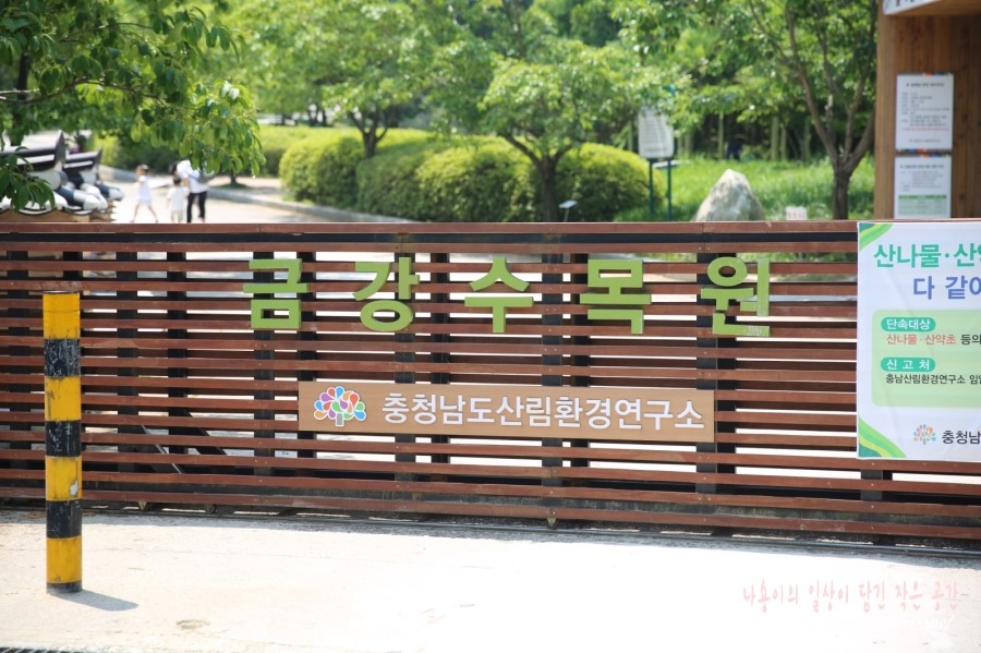 세종 가볼만한곳 금강수목원 넓다 넓어 ♬