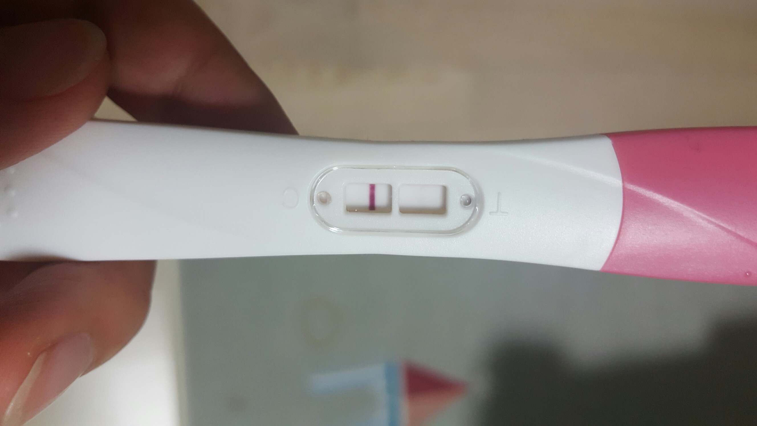 원포 패스터 시약선 인가요ㅠㅠ 원포 패스터 시약선 인가요ㅠㅠ