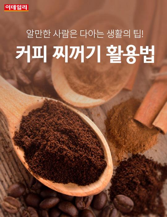[카드뉴스] 커피 찌꺼기 활용법