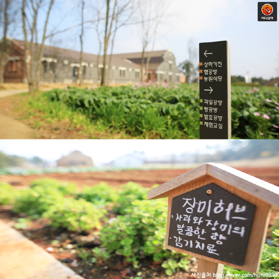 [어디갈까 추천나들이] 고창 상하농원~!