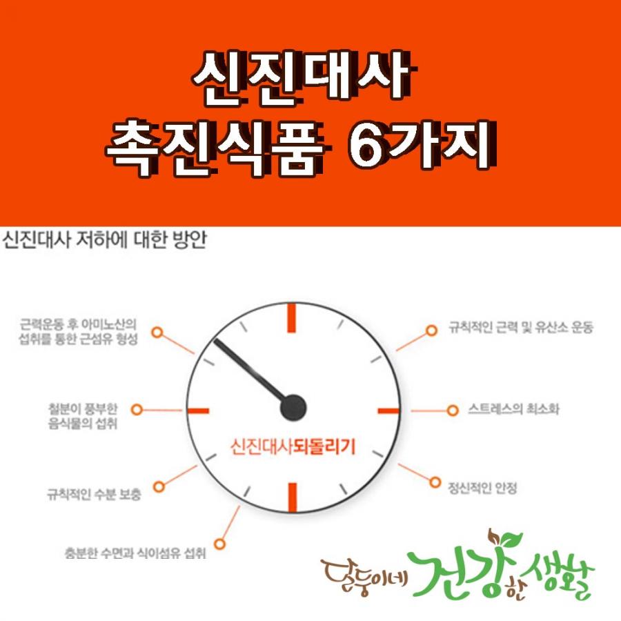 신진대사 촉진식품 6가지