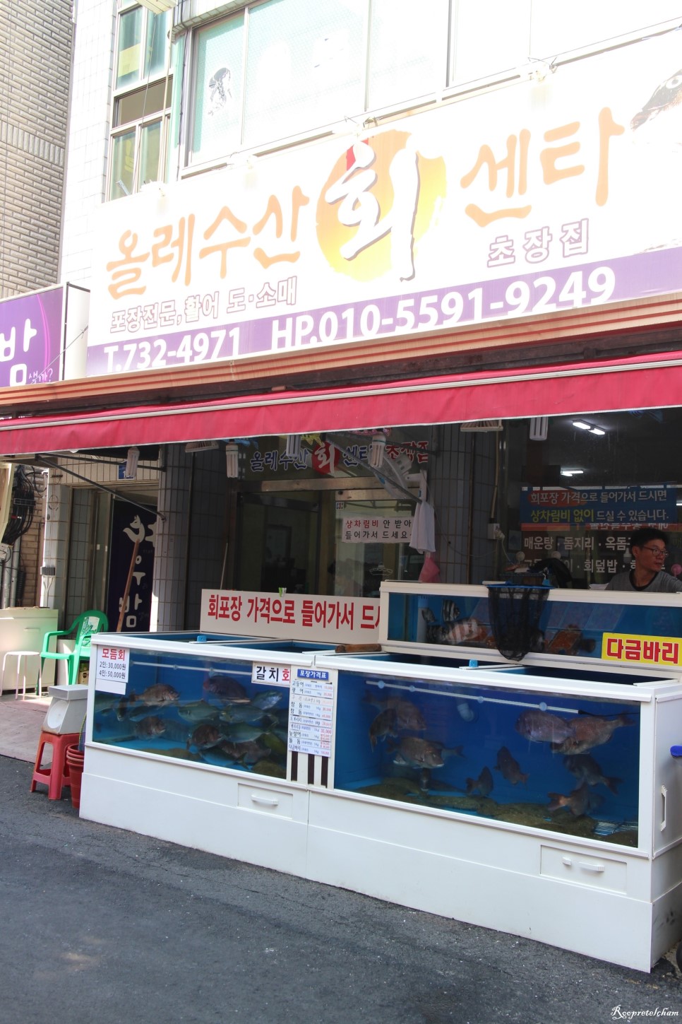 [서귀포횟집추천 가격싼곳]올레시장 회포장 올레수산회센터 모듬회 3만원