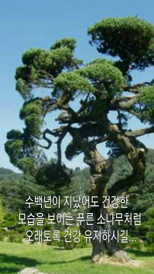 집이