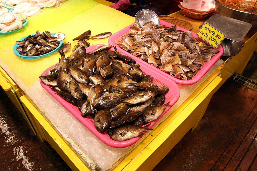 [제주 동문시장 맛집] 여상칼국수