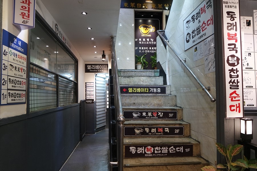 동대문 24시간 밥집 복어 맛집 동래복국 건강식 복국 데이트