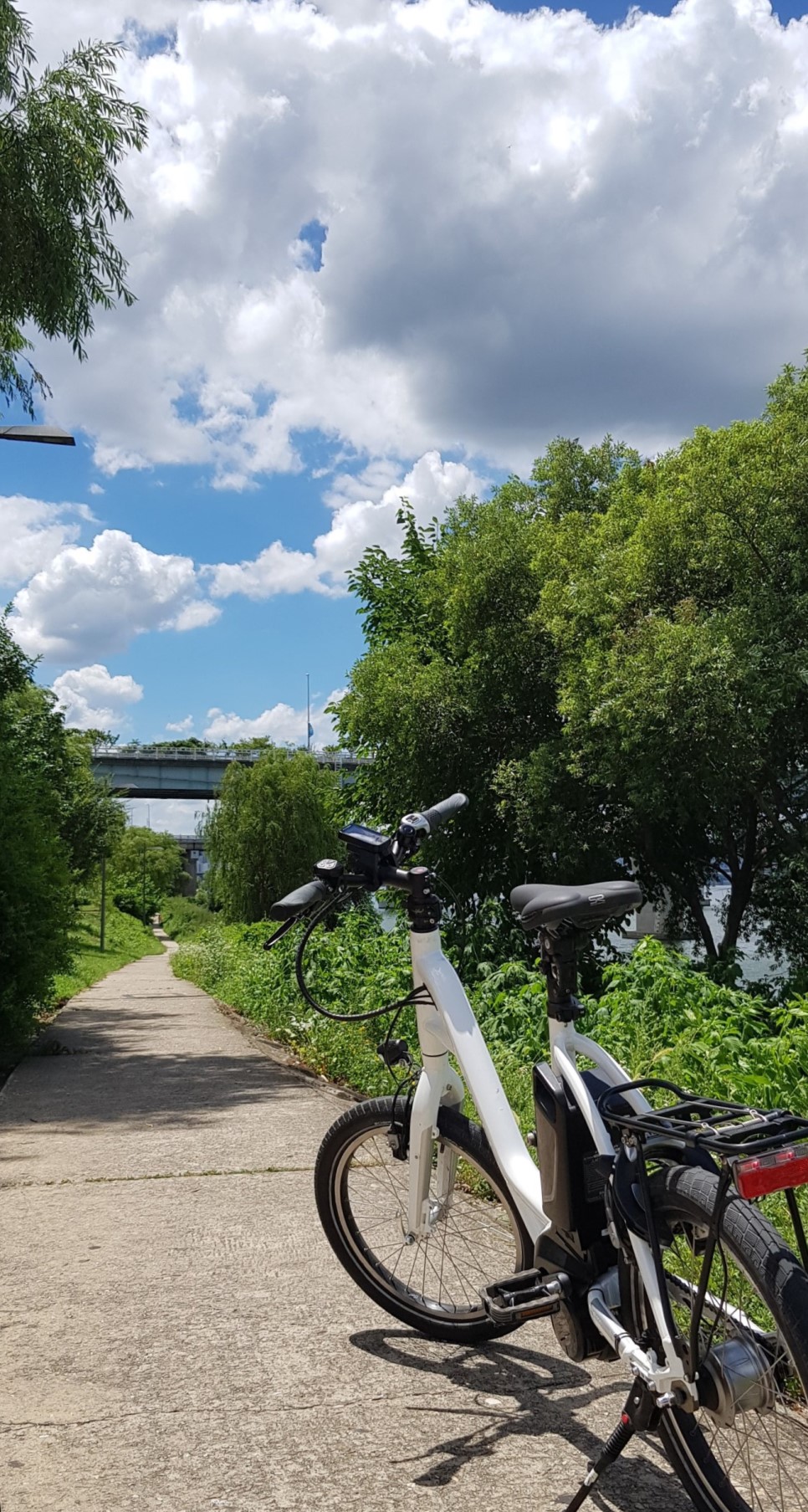 장거리 용 전기 자전거