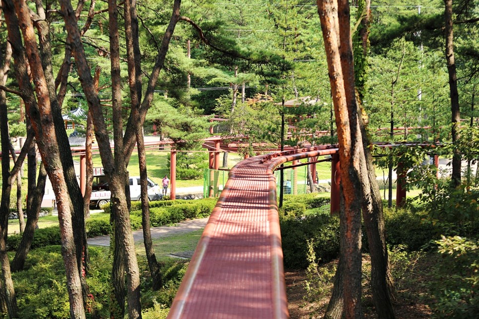 보은 가볼만한곳 솔향공원(보은 스카이 바이크)