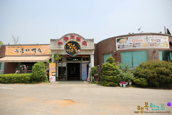 일산애니골맛집 장수마을 밥블레스유백숙 꼭 맛봐야해