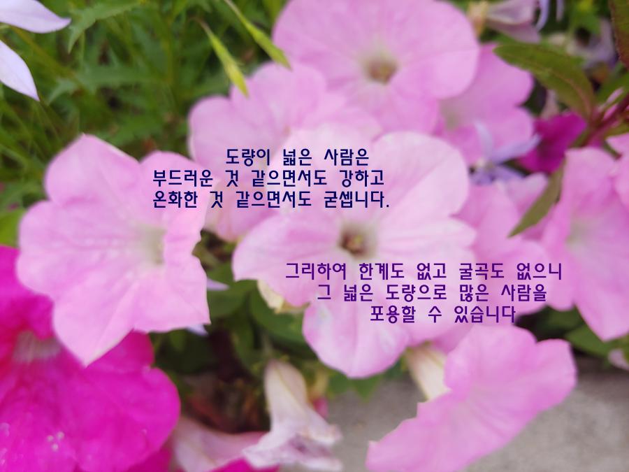 이승헌 발송 좋은글 - 내마음