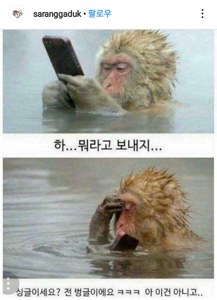 싱글벙글