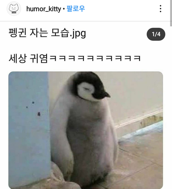 자는 펭귄.서서자는 군요