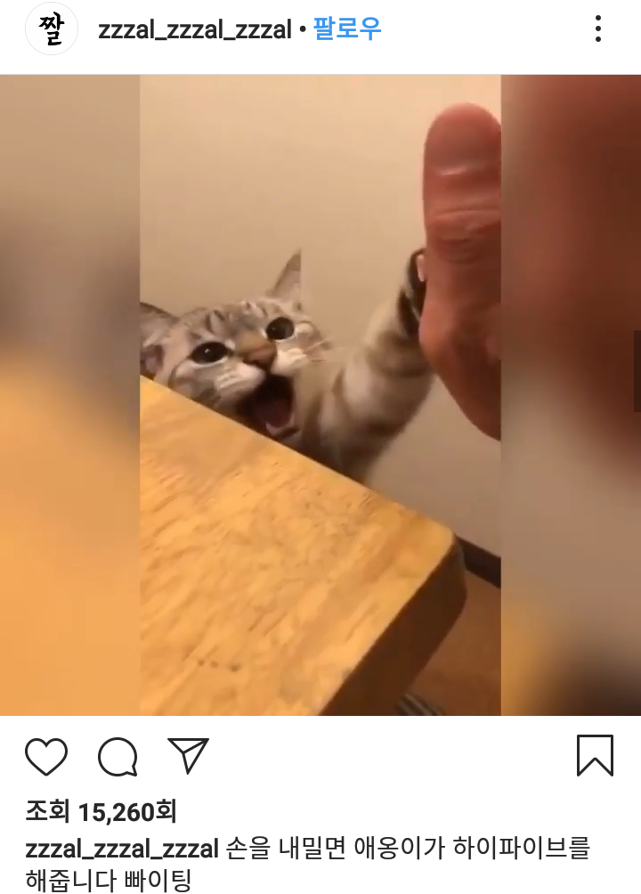 하이파이브