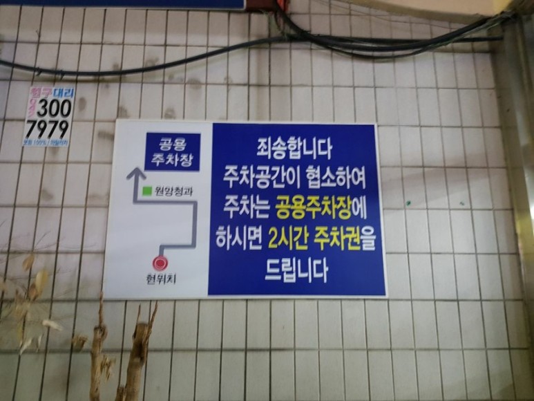 가수원맛집 향어가 맛있는 가수원횟집