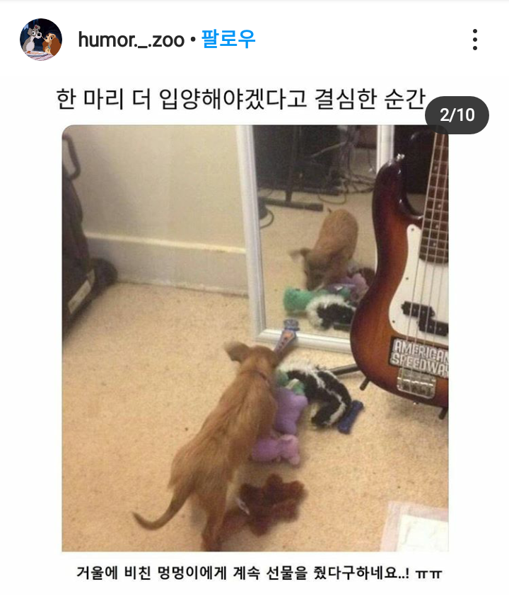 입양결심계기