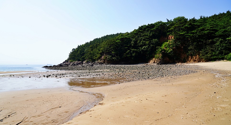 백리포 해수욕장 펜션 씨앤스타-바다뷰-낚시펜션(천리포 해수욕장)