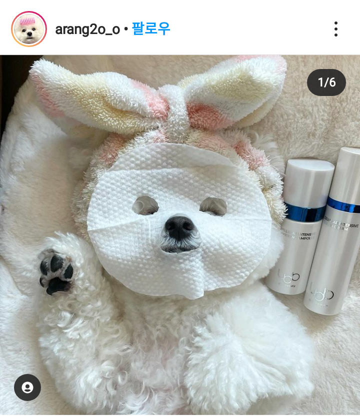 팩