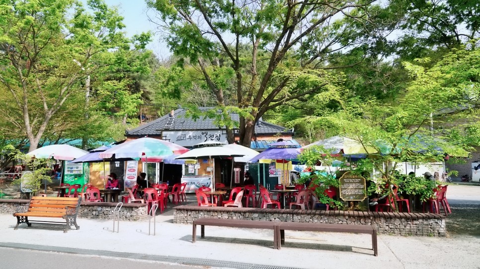 경기도 갈만한곳 남양주 능내역 폐역 자전거 대여(남한강자전거길)