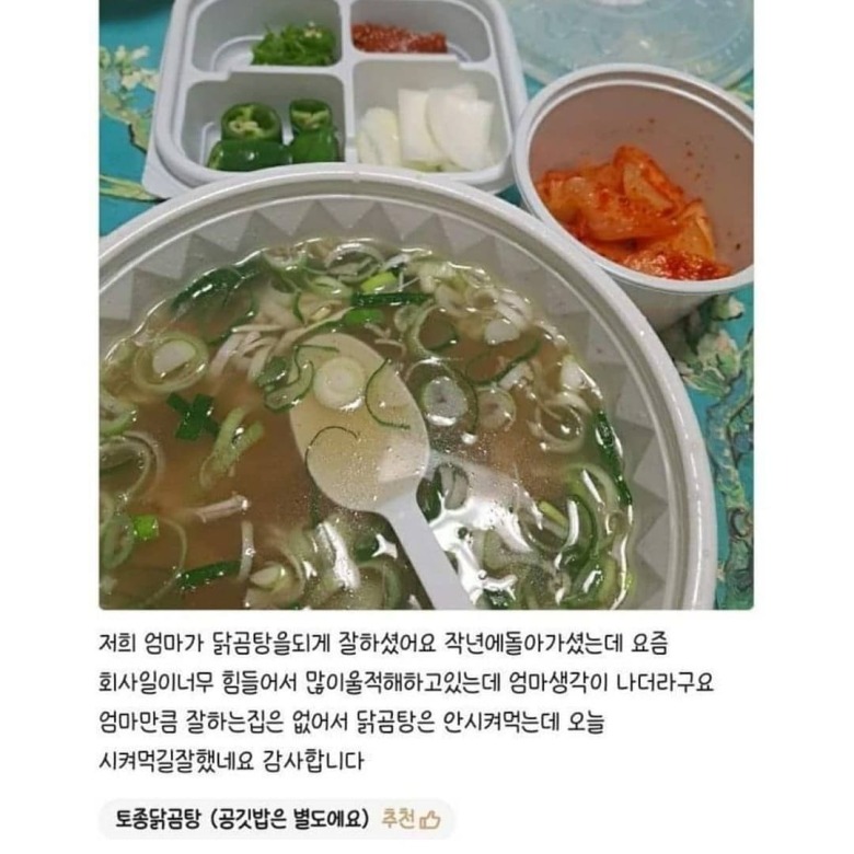 닭곰탕집 사장님의 댓글 | 인스티즈