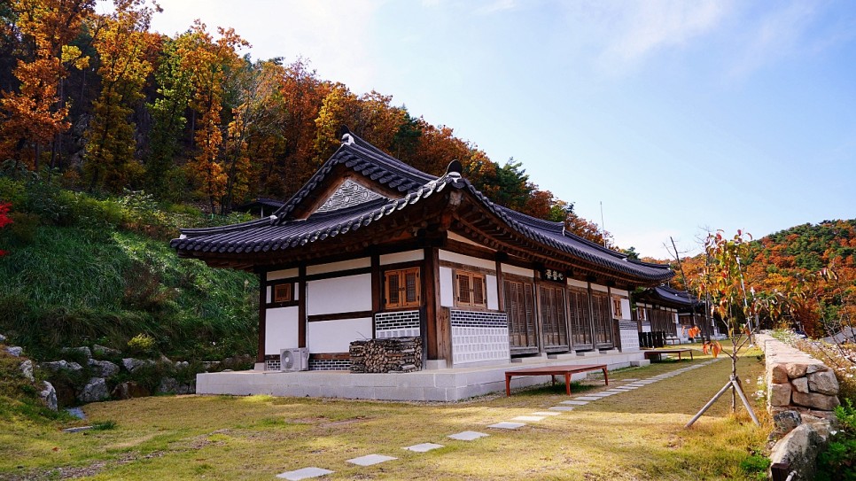 보은 가볼만한곳 속리산 모노레일.집라인. 솔향공원 스카이바이크,숲체험휴양마을 한국관광공사 명사와의 만남