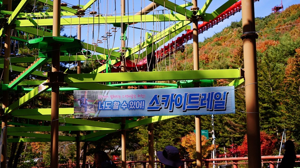 보은 가볼만한곳 속리산 모노레일.집라인. 솔향공원 스카이바이크,숲체험휴양마을 한국관광공사 명사와의 만남