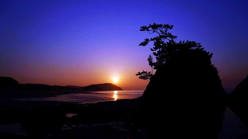 원산도 펜션 해루질 민박 원산도 물때표