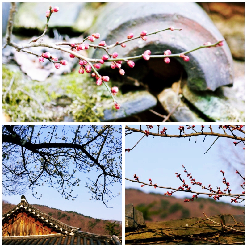 class="se-image-resource"